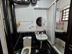 Blk 342 Choa Chu Kang Loop (Choa Chu Kang), HDB Executive #454559631